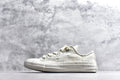Converse Chuck Taylor All Star Low Top White Canvas Sneaker A16989C