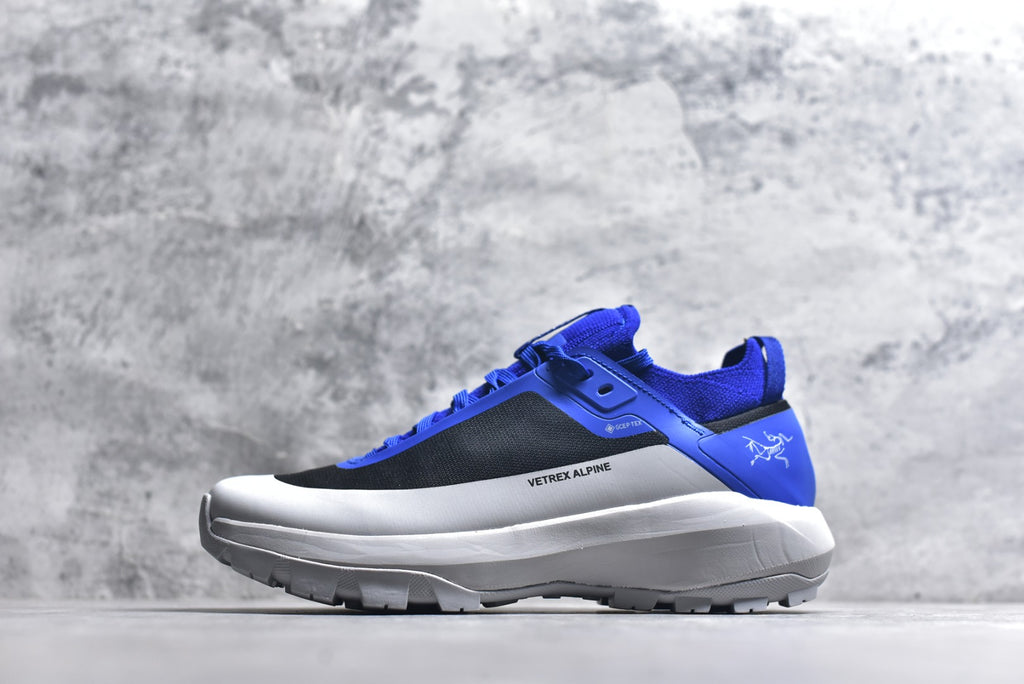 Arc’teryx Vertex Alpine GTX — Low-Top Waterproof Hiking Shoes